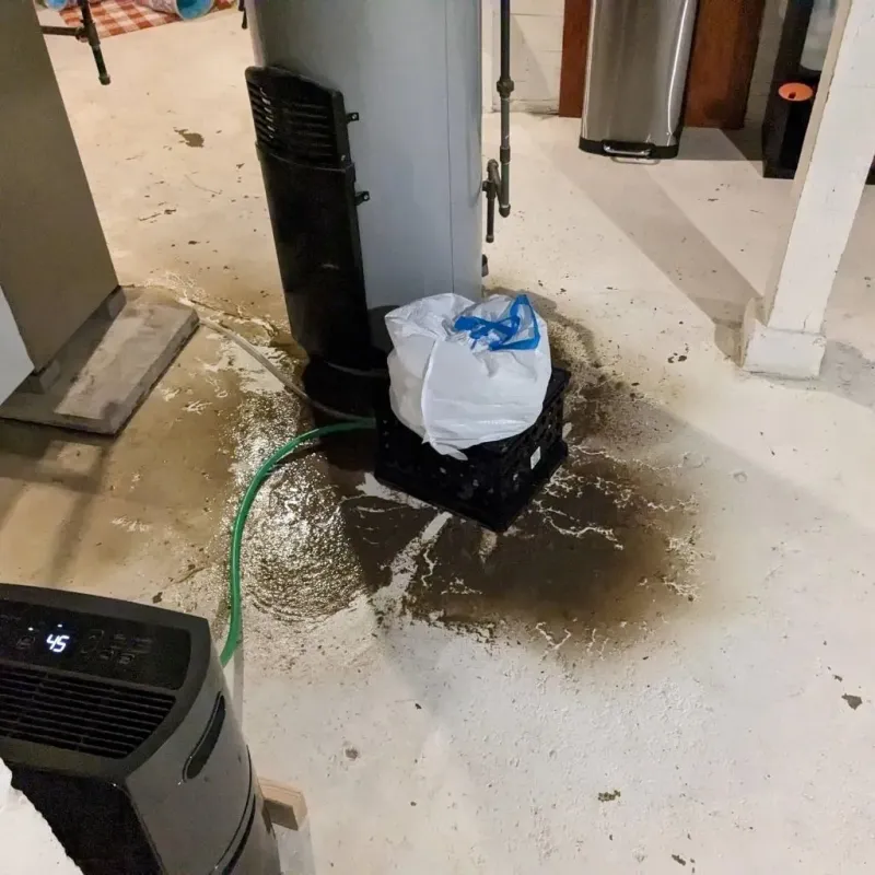 Sewage Backup Cleanup Service in Eldora, IA